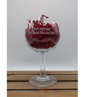 Duchesse de Bourgogne Glass 25 cl