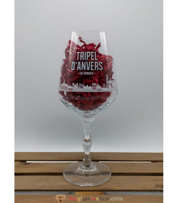 De Koninck Tripel d'Anvers Glass 33 cl