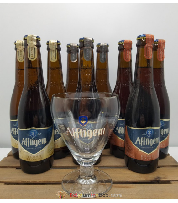 Affligem Brewery Pack (9 x 30 cl) + FREE Affligem Glass