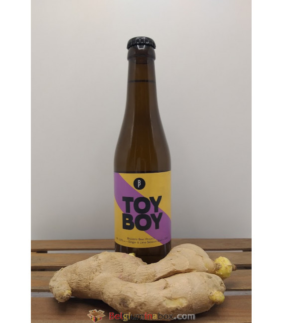 Brussels Beer Project Toy Boy 33 cl