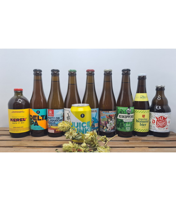 IPA Brewery Pack (9+1 FREE)