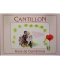 Cantillon Rosé de Gambrinus Poster