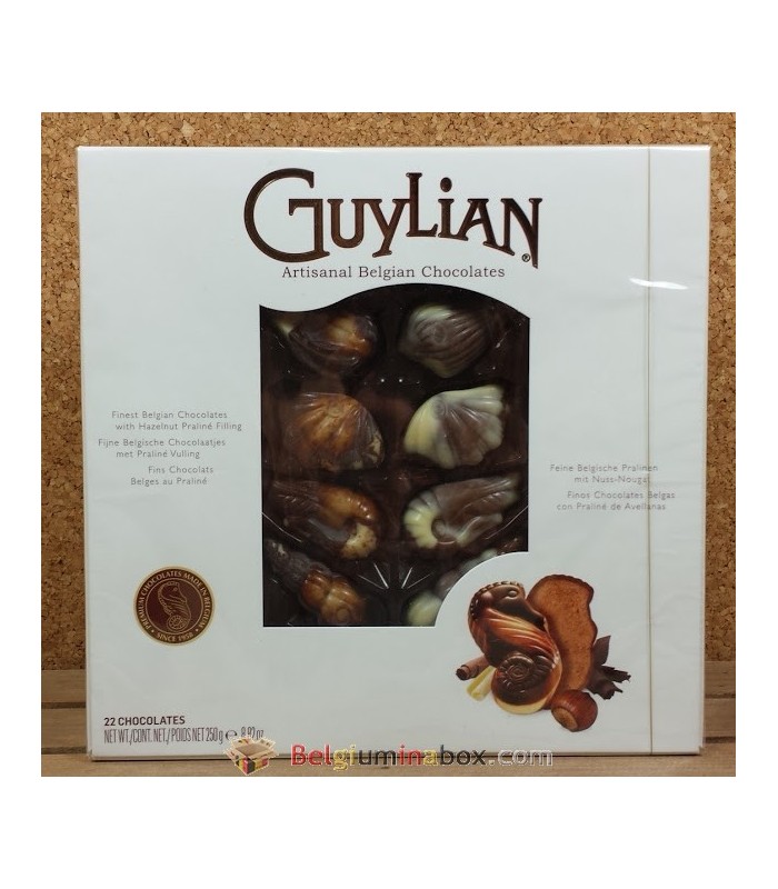 Состав бельгийского шоколада. Guylian Belgian Chocolate. Guylian Belgian Chocolate Premium Dark. Guylian этикетка. Бельгийский шоколад со слоном.
